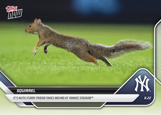 Squirrel - 2025 MLB Topps NOW® - Card 596 - PR: 4979