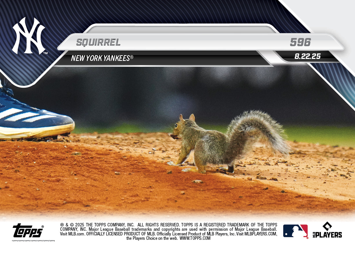 Squirrel - 2025 MLB Topps NOW® - Card 596 - PR: 4979