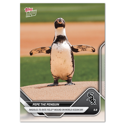 Pepe the Penguin - 2025 MLB Topps NOW® - Card 276 - PR: 3720